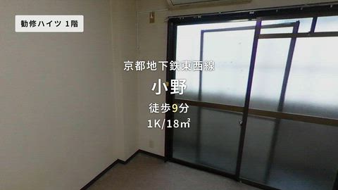 動画
