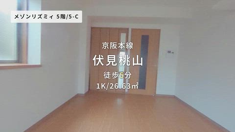 動画