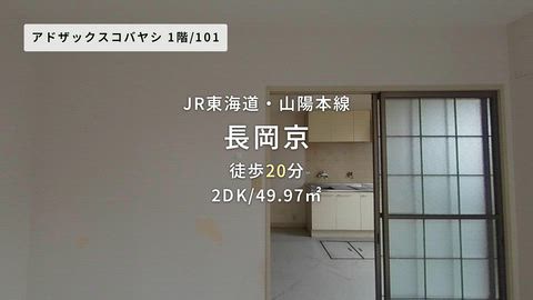 動画