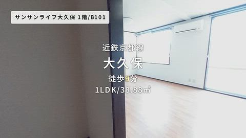 動画