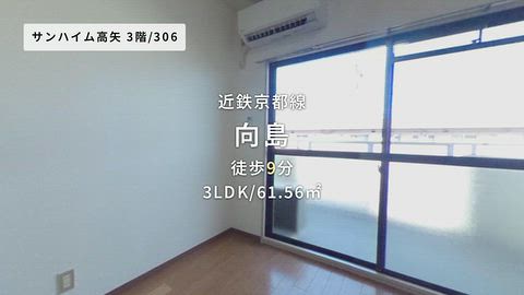 動画