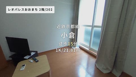 動画