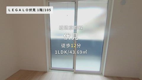動画