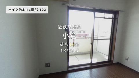 動画