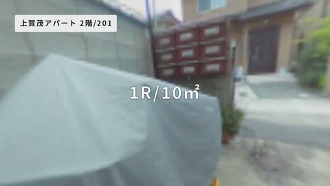 動画