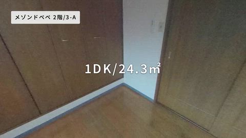 紹介ムービー
