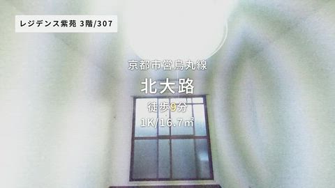 紹介ムービー