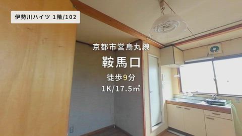 動画