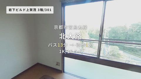動画