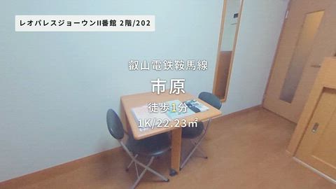 動画