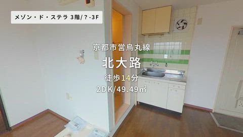動画