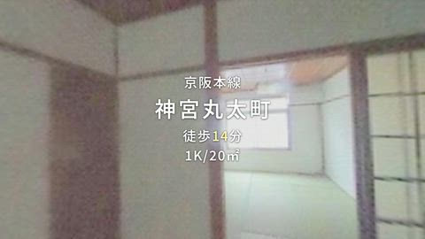 動画