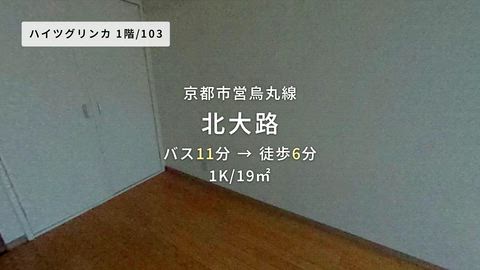 動画