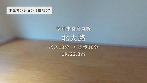 動画