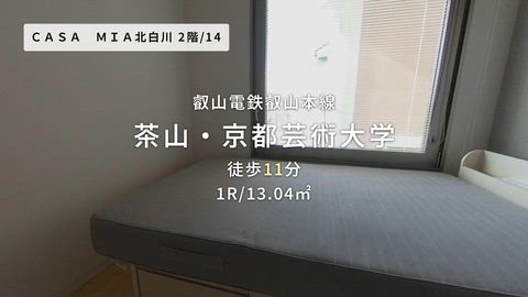 動画