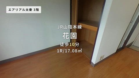 動画
