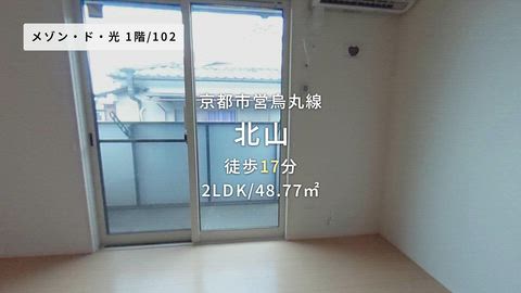 動画