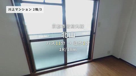 動画