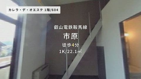 動画