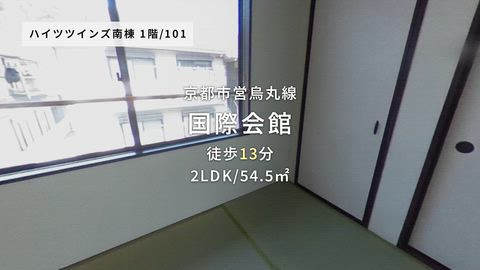 動画