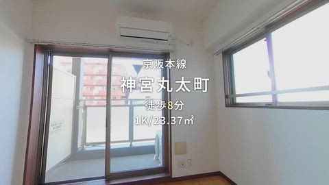動画