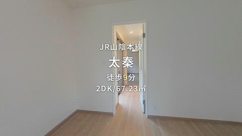 動画