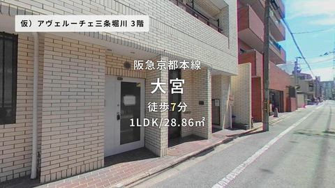 動画