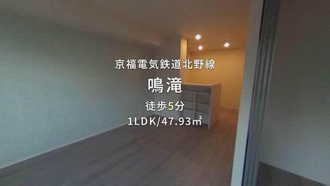 動画