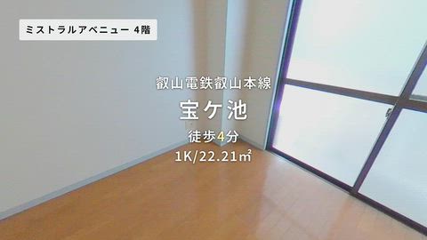 動画