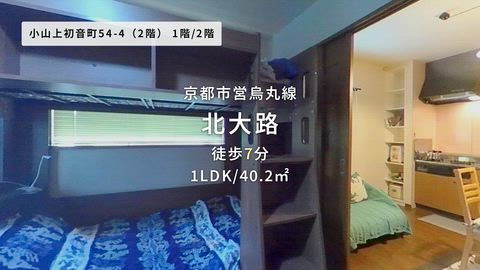 動画