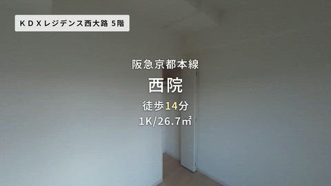 動画
