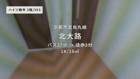 動画