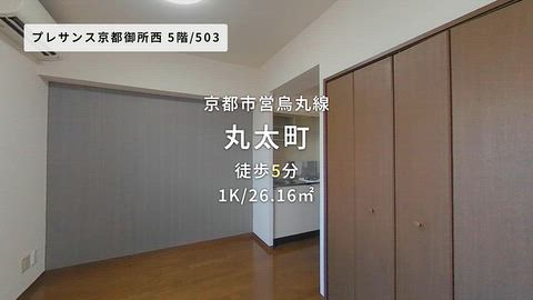 動画
