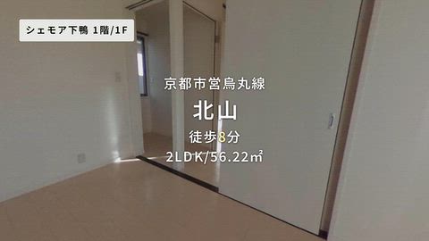 動画