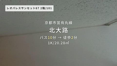動画