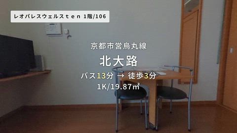 動画