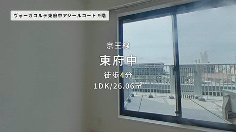 動画
