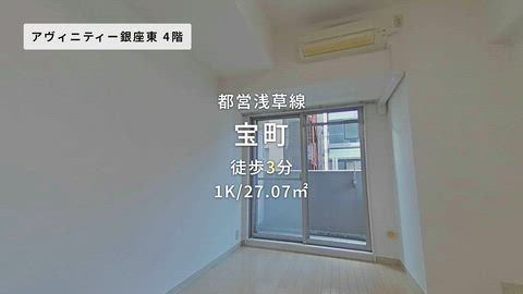 動画
