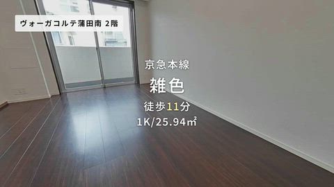 動画