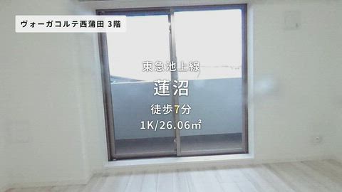 動画