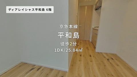 動画