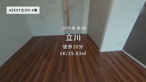 動画