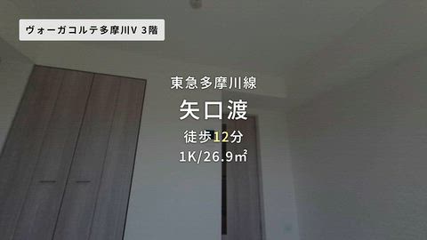 動画