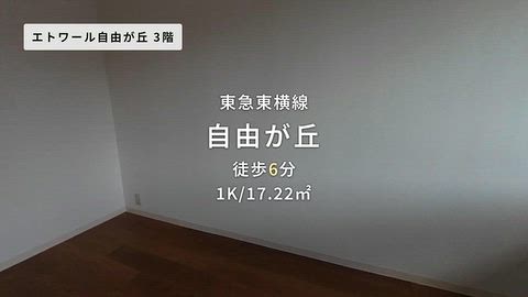 動画