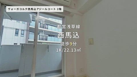 動画