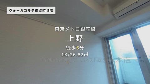 動画