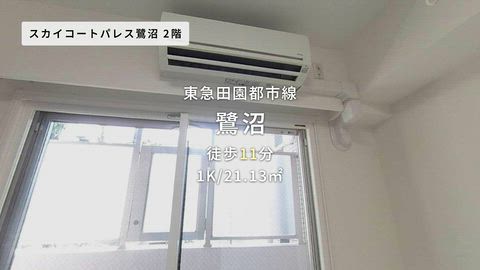 紹介ムービー