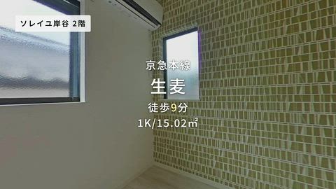 動画