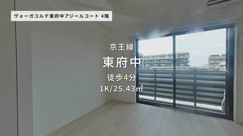 動画