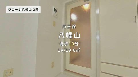 動画